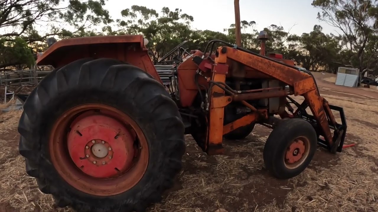 Мы дома, и вот последние новости с фермы.