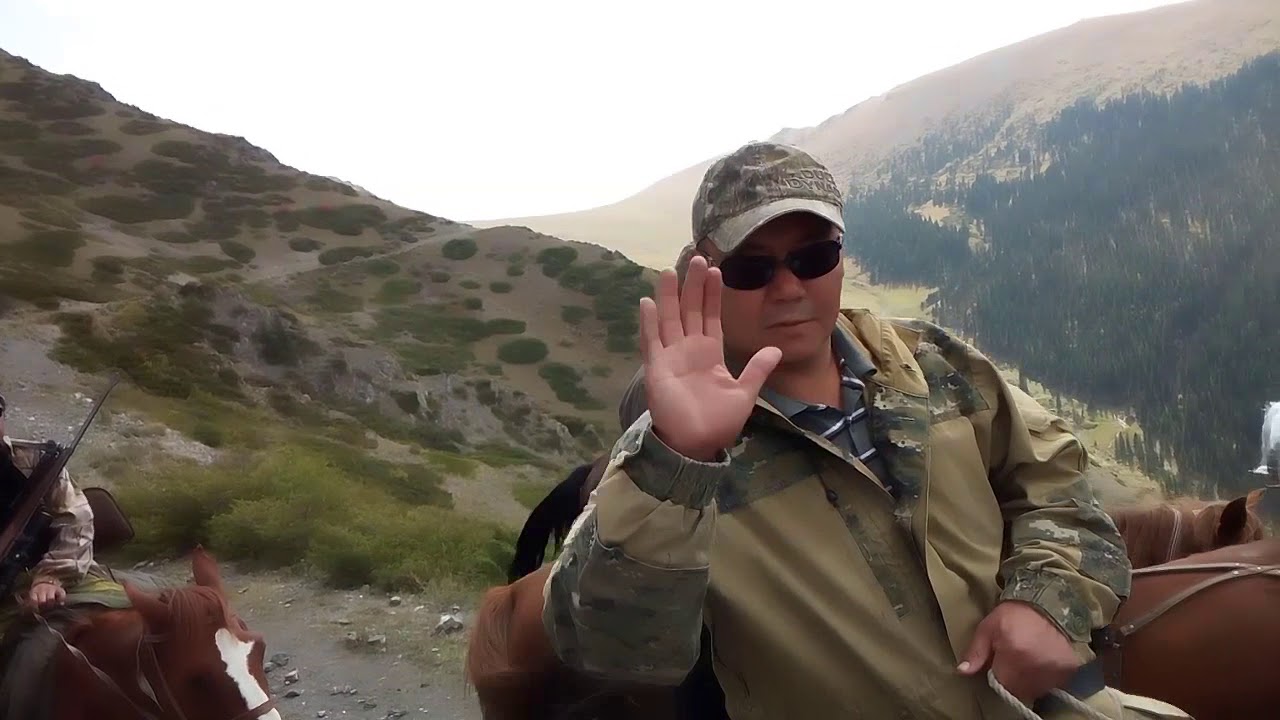 Охота на сибирского тека 2017. Джунгары. Казахстан. Экспедиция Юг.