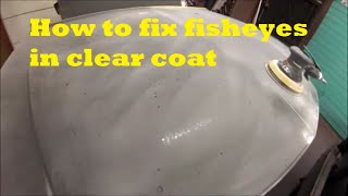How to fix fisheyes in clear coat
