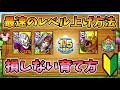 【ドラクエタクト】最速のレベル上げ！効率のいい育成方法紹介【初心者向け解説】