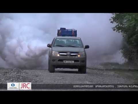 ქიმიური წამლობა აზიური ფაროსანას წინააღმდეგ - რა ხარვეზებზე საუბრობს მოსახლეობა