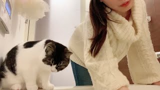 ママのお風呂洗いを手伝ってお湯の見張りまでしてくれる子猫