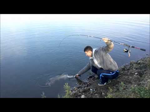 Video: Lacul Pike