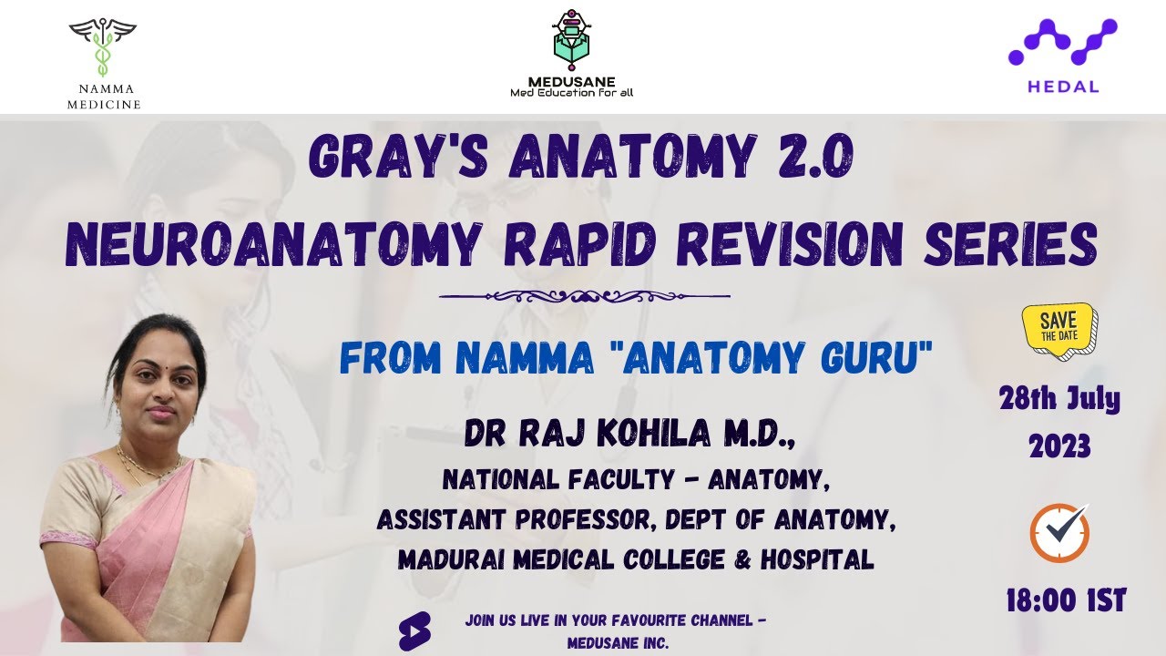 Neuroanatomy | Gray's Anatomy 2.O - Rapid Revision Series | Dr Raj Kohila M.D., | MEDUSANE