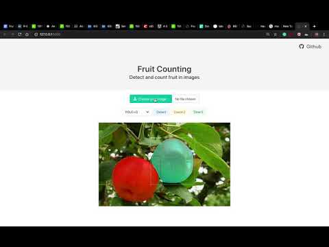 A Fruit Counting Web APP based on YOLO v3 and Mask R-CNN