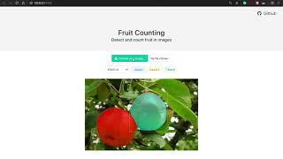A Fruit Counting Web APP based on YOLO v3 and Mask R-CNN