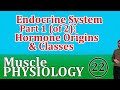 Endocrine System Part 1 (of 2): Hormone Origins and Classes