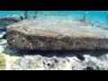 Egypt, abandoned pier.  Египет, заброшенный пирс.