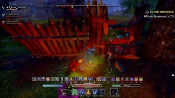 ESO Stamina Necromancer "Bashcro" PVP