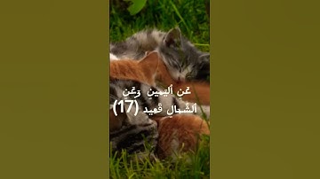 #قران_كريم #قران_بصوت_جميل #اذكار #اكسبلور #اذكار #دويتو #duet #لايك #حالات #حالات_واتس #حالات_قران