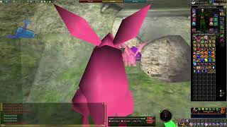 Asheron's Call: Larry's Ruined Garden