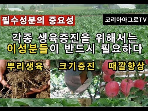 농작물 재배 -영양공급 중 미량요소 공급이 중요한 이유는?