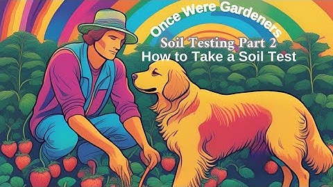 Soil Test Part 2  - How to Take a Soil Test