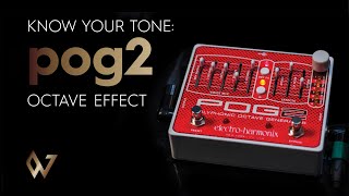 Worship Guitar Tone - POG2 Octave Effect