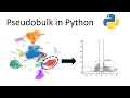 Pseudobulk singlecell analysis in python with scanpy and pydeseq2
