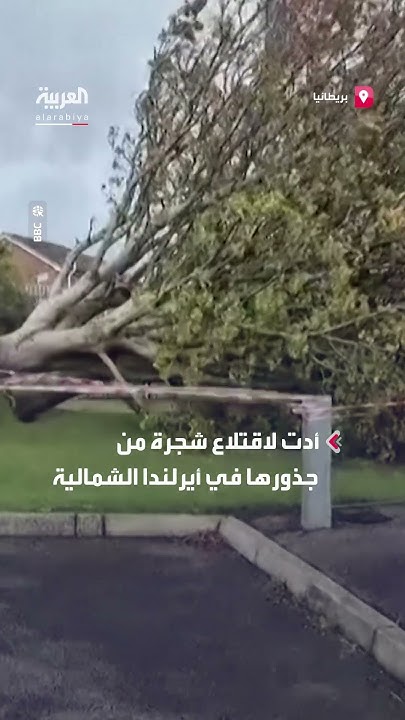          
 - نشر قبل 18 دقيقة
