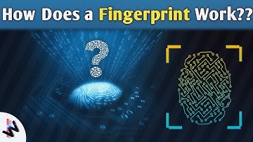 How Fingerprint Sensors Work With full Information[Hindi] | Fingerprint Scanners Explanation | 2020