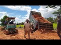 Amazing Dump Trucks Stuck  Deep In Mud  Recovery | xe tải tự đổ, chiếc xe ủi | รถดั๊มพ์, รถปราบดิน