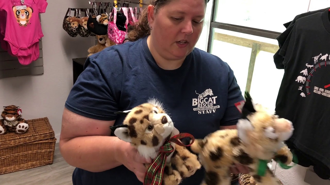 plushie PLUSH BOBCAT FLOPSIE BOBBY