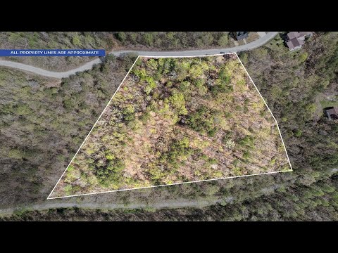 81 Crest Court, Waverly, TN home video tour