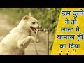 कुत्ते ने कैसे निभाई अपनी दोस्ती / Dog Friendship #shorts #yt  #humanity