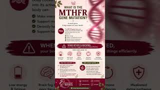 🧬 What is the MTHFR gene mutation? #beeforgan #energysupport #femalehealth #grassfed #healthyhormone