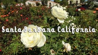 The Rose Garden at Mission Santa Barbara