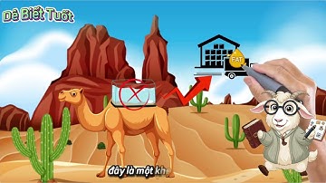 Không phải là nước, vậy bướu trên lưng lạc đà là gì?