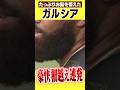 【ガルシア】ビアードたっぷり飛距離びっくり #hanshintigers #虎バンチャンネル #プロ野球 #shorts #shortvideo