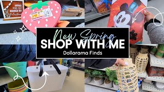 Shop With Me Dollarama Findsspring