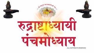 रुद्राष्टाध्यायी || Rudrastadhyayi || Rk Vyas Palji