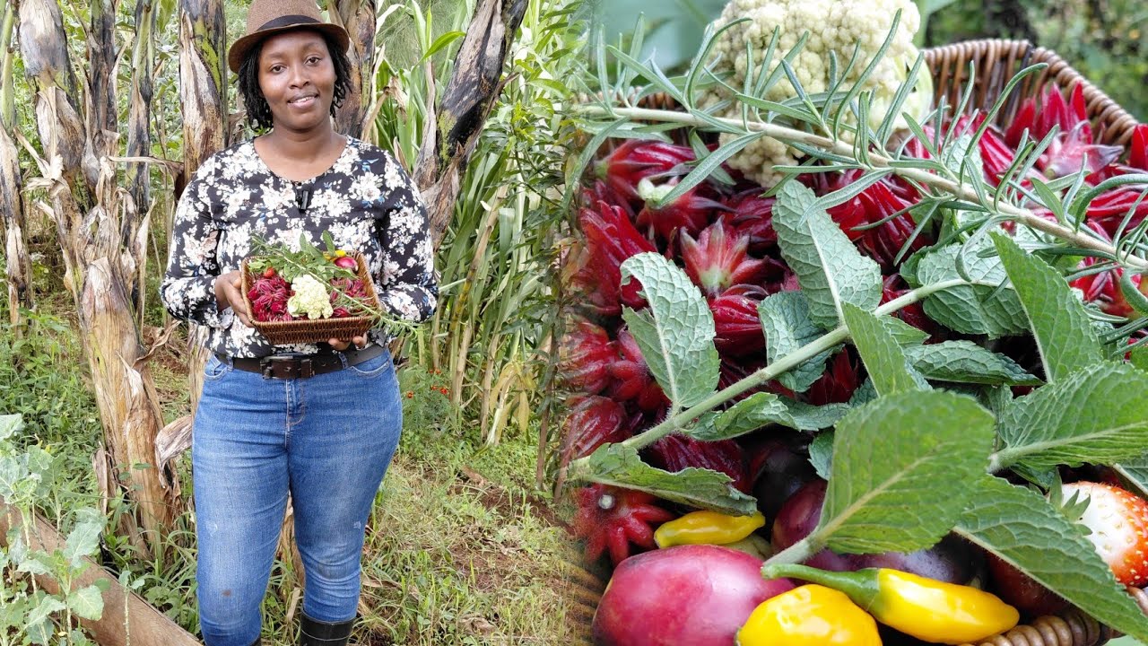 Наш органический рай: кормление семьи из 4 человек более чем 30 различными культурами на одной во...