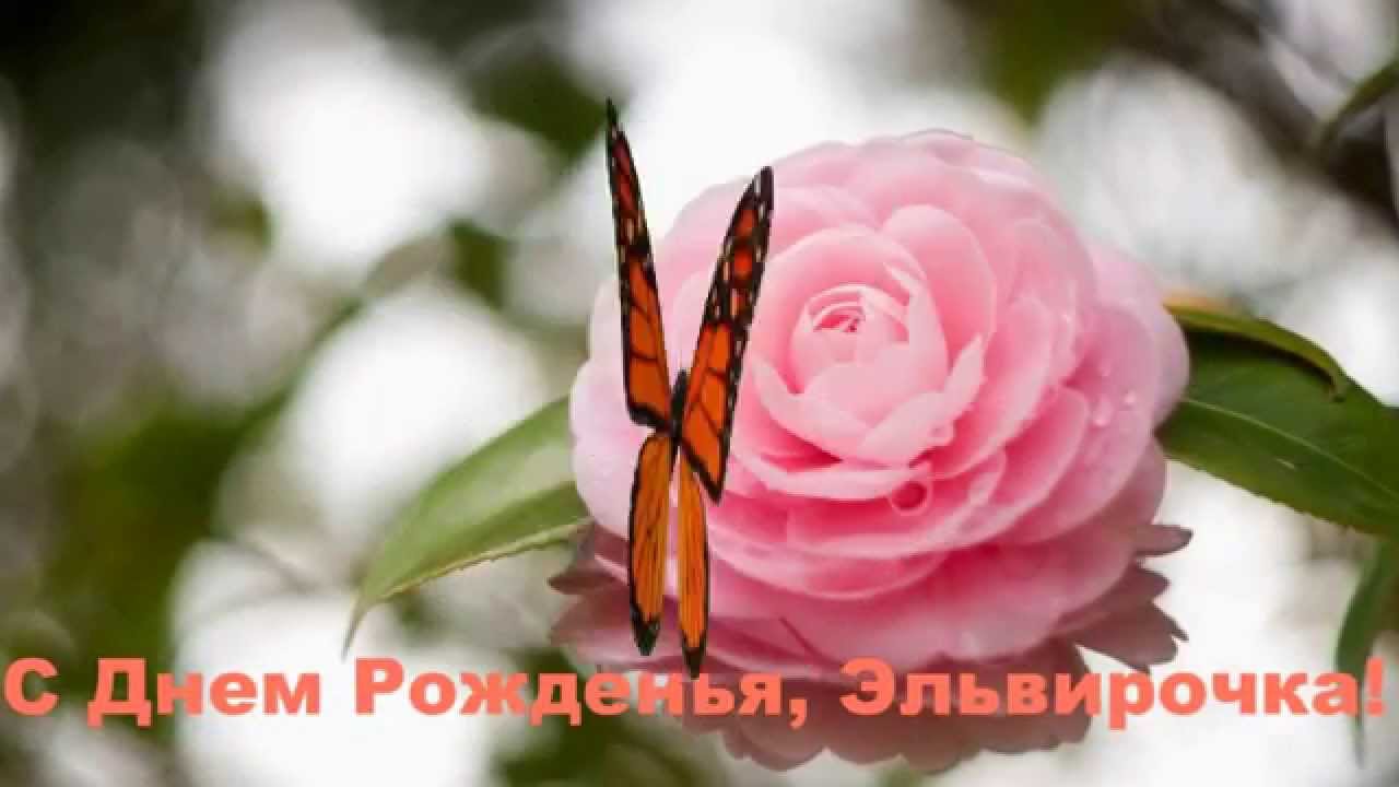 Эльвирочка с днем рождения картинки
