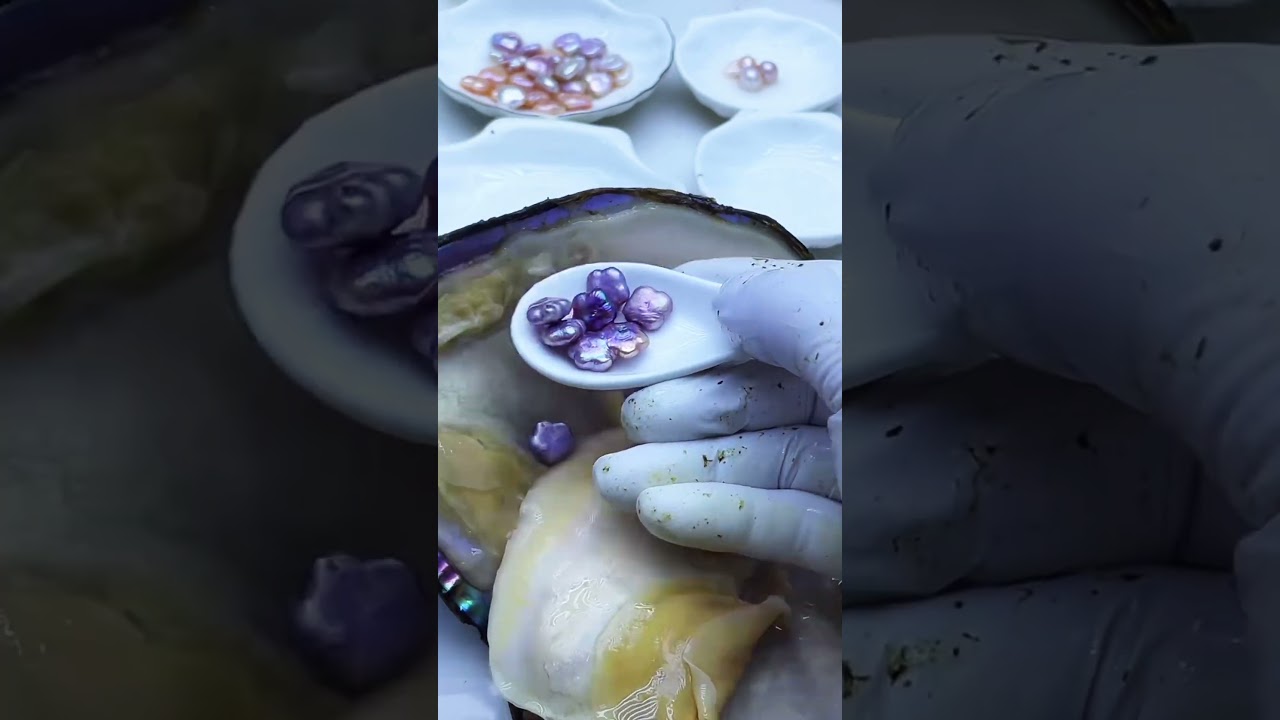 "Found a 7-Year Star-Shaped Pearl in Mystic Purple with Metallic Shine! Unique & Gorgeous! 🐚✨"