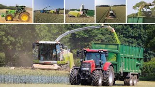 Harvest 2020 | Wholecrop Rye Harvesting | 10   machines!