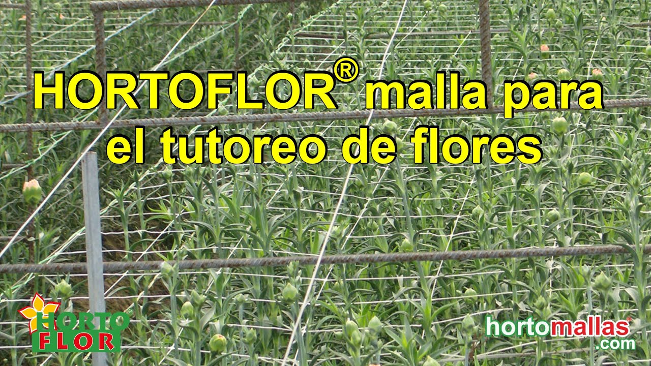 malla para el tutoreo de flores - YouTube