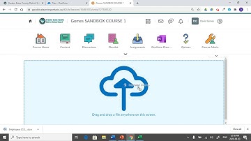 Adding OneDrive Files to Brightspace