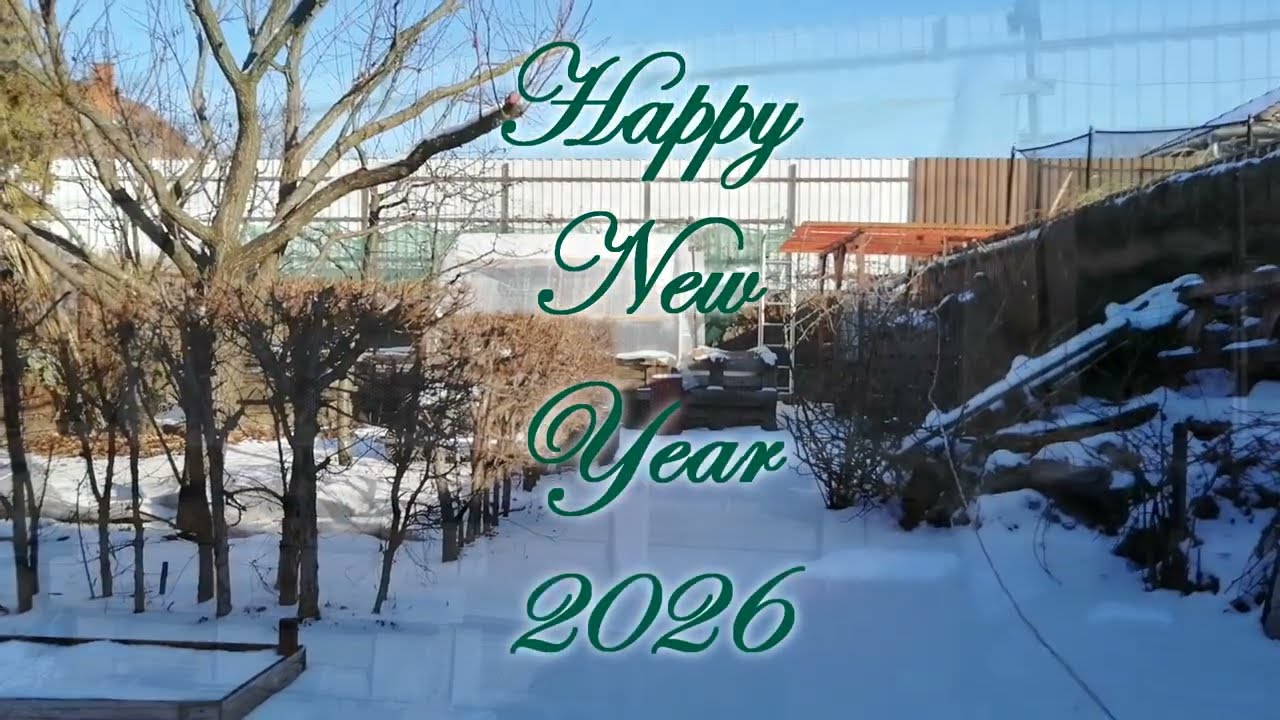 New Year's Morning - Új Év reggele | 2026