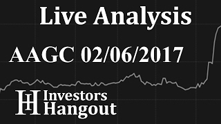 AAGC Stock Live Analysis 02-06-2017