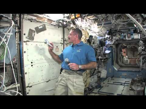 Day of Thanks Celebrated in Space