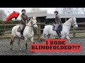 Crazy riding dares with lily equestrian