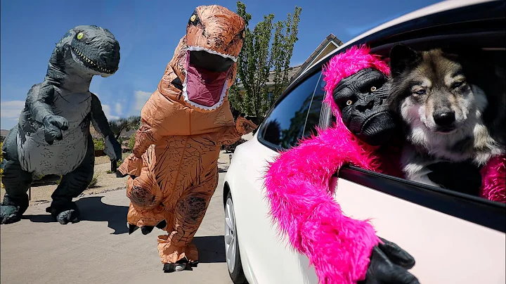 Gorilla & Kakoa Escape Giant T Rex! POV Chase