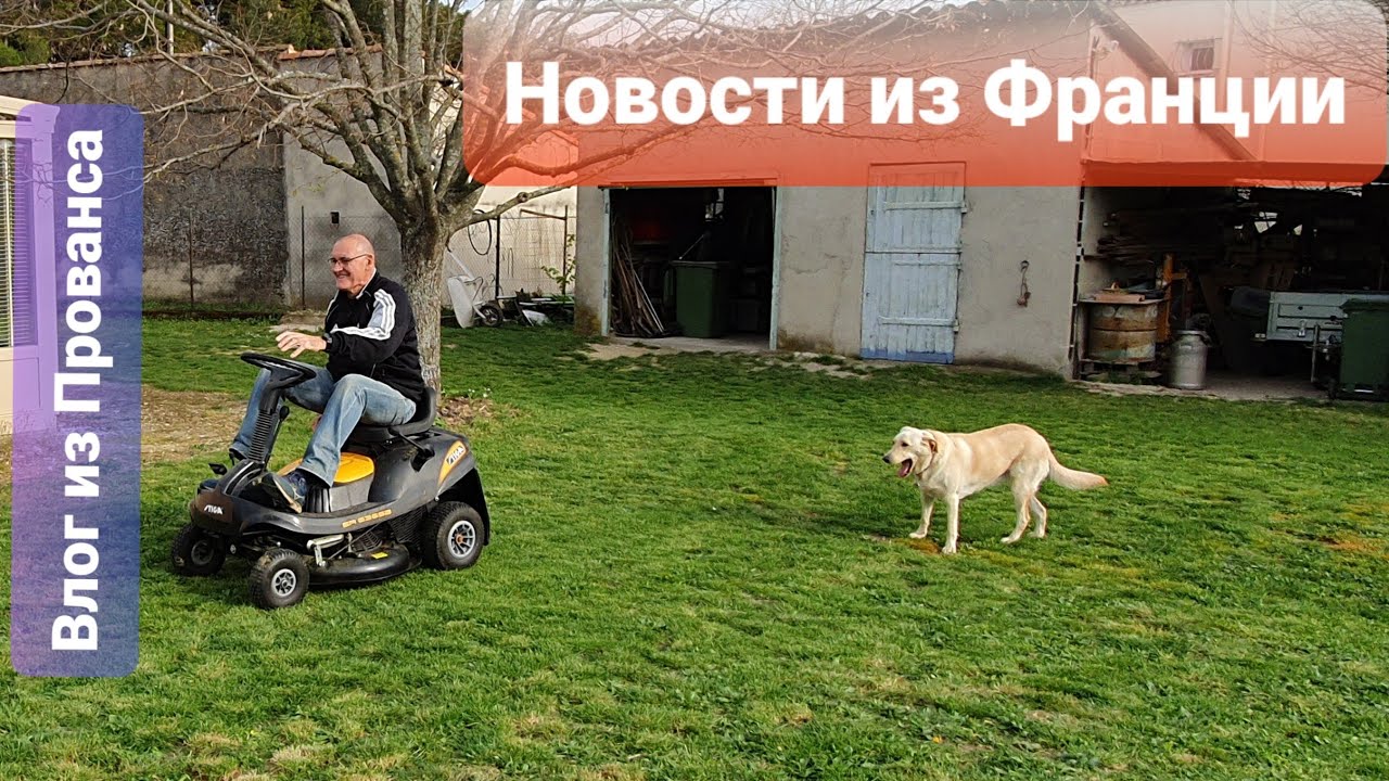 France News/Новости  из Франции и Моего Сада. Сегодня Будем Готовить Сосиски с Картошечкой