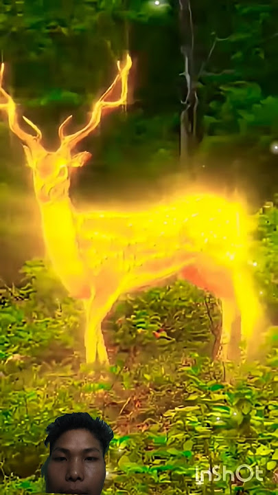 #bollywood #love #hindisong