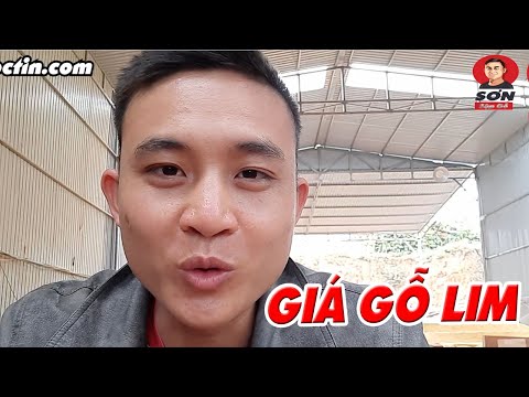 Video Chi tiết cho dân chơi đồ gỗ về giá gỗ lim 2022 - youtube