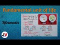 Osmosis and its Types|The Fundamental Unit of Life|Class 9| Biology|