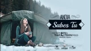 Andia - Sabes Tu (Hudson Leite & Thaellysson Pablo Rework Remix)