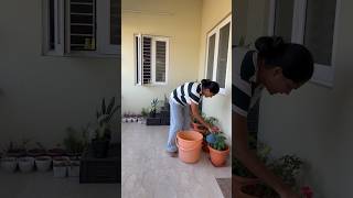 Download Lagu കുറേക്കാലമായി ആഗ്രഹിച്ച കാര്യം നടക്കാൻ പോകും MP3