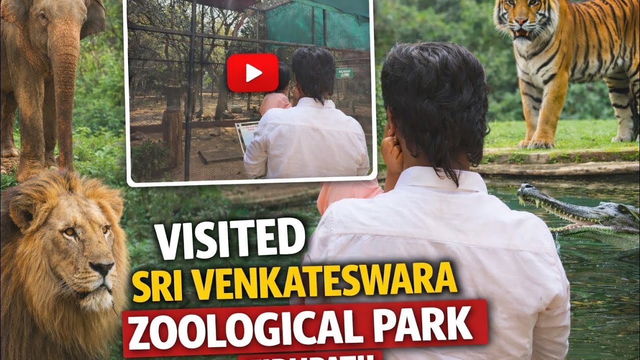 Sri Venkateswara Zoological Park | Family Vlog #family #zoo #tirupati #kids