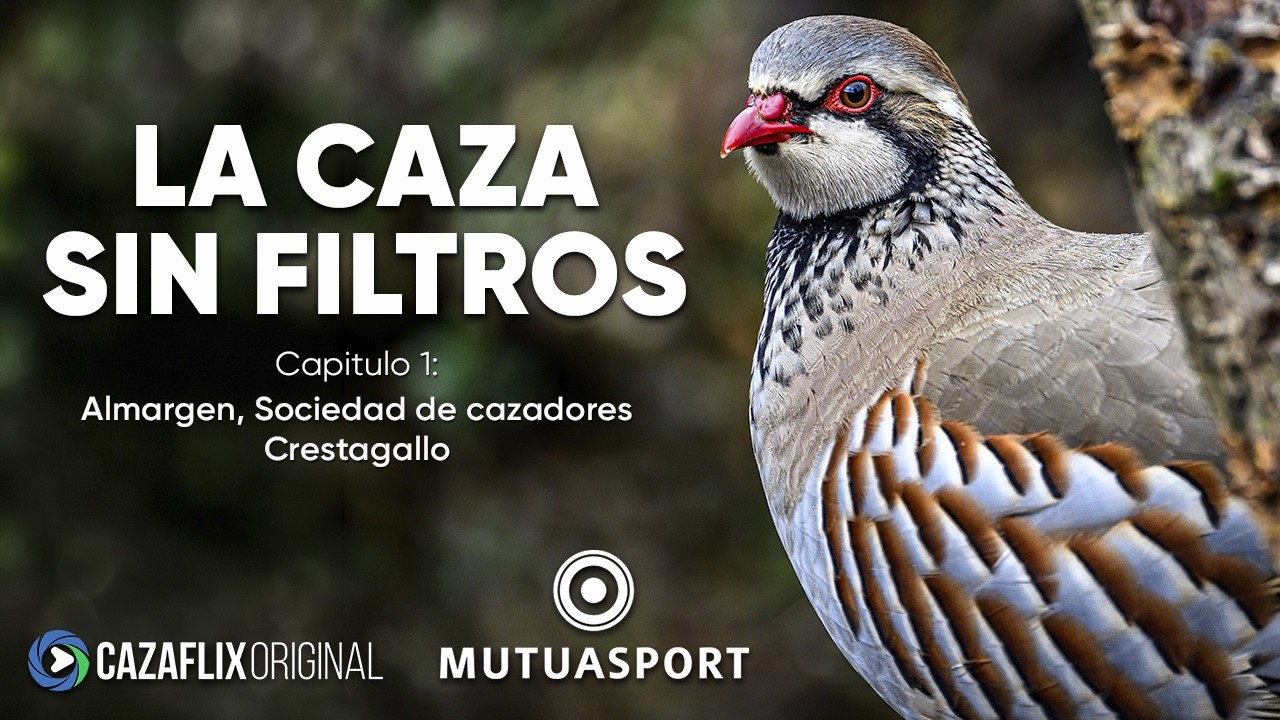 Así han conseguido RECUPERAR LA PERDIZ ROJA en Almargen (Málaga) | LA CAZA SIN FILTROS Ep. 1